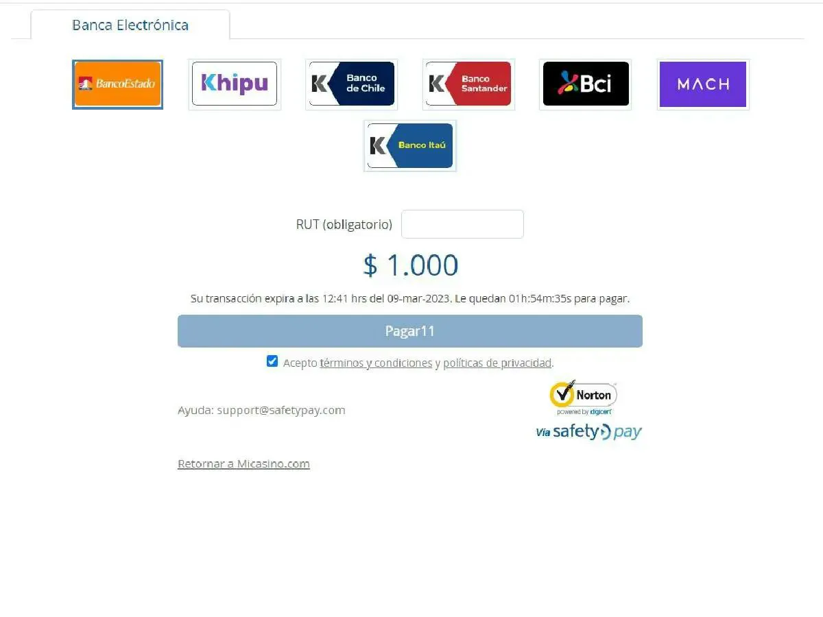 Transferencia bancaria al casino